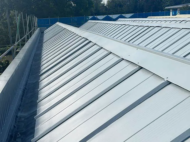 industrial protective roof coating
